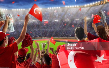 تحليل أداء المنتخب التركي في المباريات الدولية